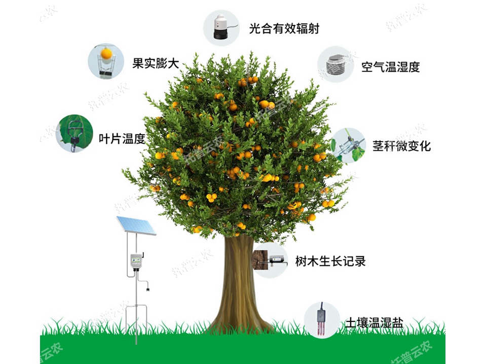 植物生理生態(tài)監(jiān)測(cè)系統(tǒng)