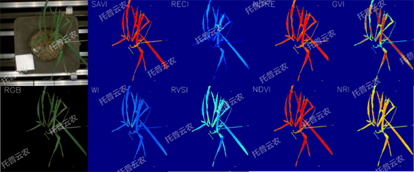 逆境模擬及植物生長監(jiān)測平臺-高光譜成像與指數(shù)分析結(jié)果.jpg